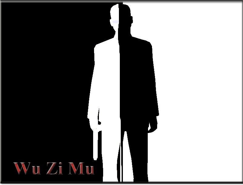 Http - //i1178 - Photobucket - Com/albums/x379h/ezio - Silhouette (800x800), Png Download