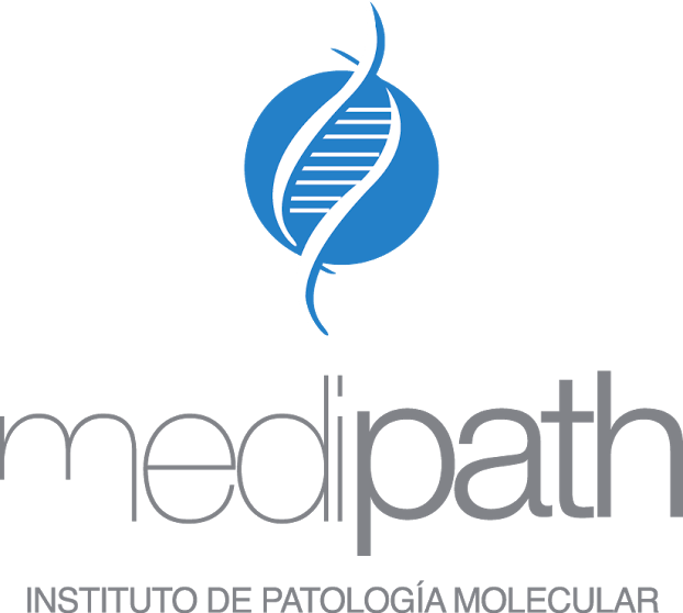 El Campo De Usuario Es Requerido No Puede Estar Vaciothe - Caja Mackinder (622x558), Png Download