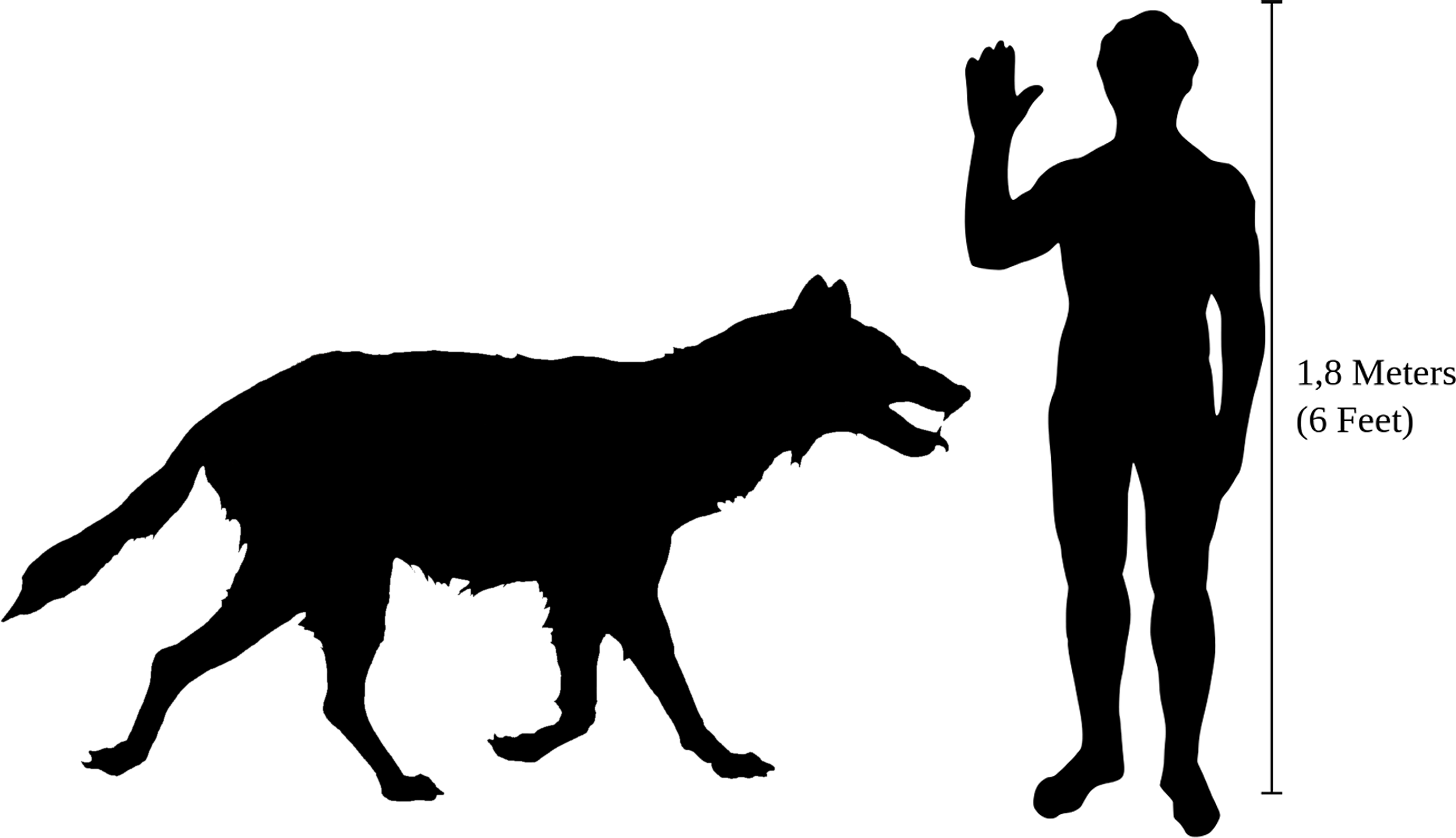 Wolf size. Канис Дирус. Canis Dirus с человеком. Волк ужасный рост в холке.