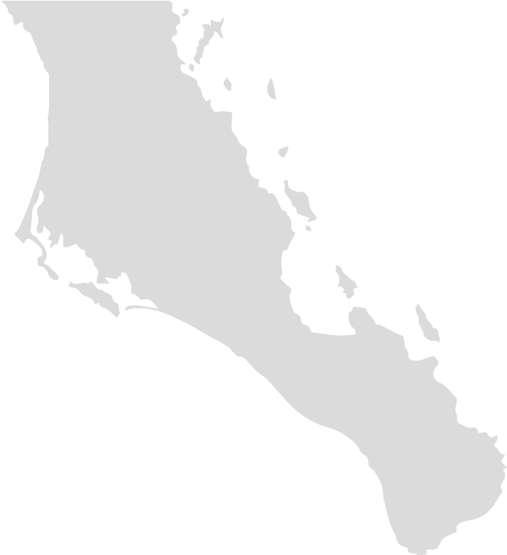 Left - '><a Href='https - //bajaadventureco - Com/activities/espiritu - Silhouette (1000x892), Png Download