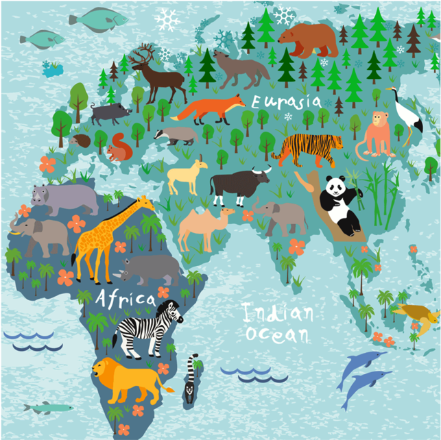 Illustration (800x800), Png Download