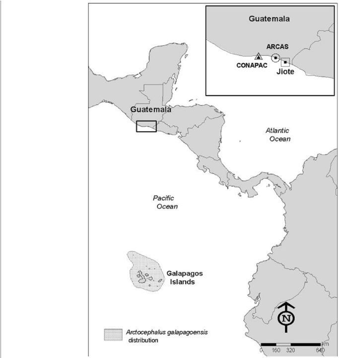 Location Of The Stranding Site, Rehabilitation Center - Atlas (850x719), Png Download