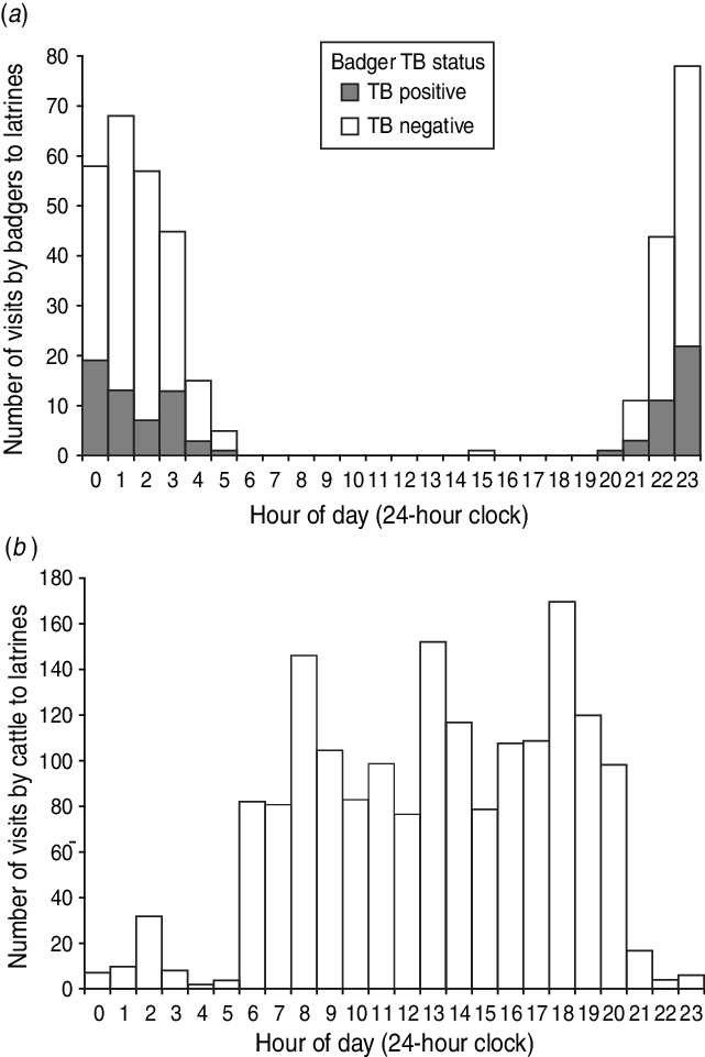 Timing Of Visits By Badgers And (b) Cattle To 13 Active - Diagram (641x961), Png Download