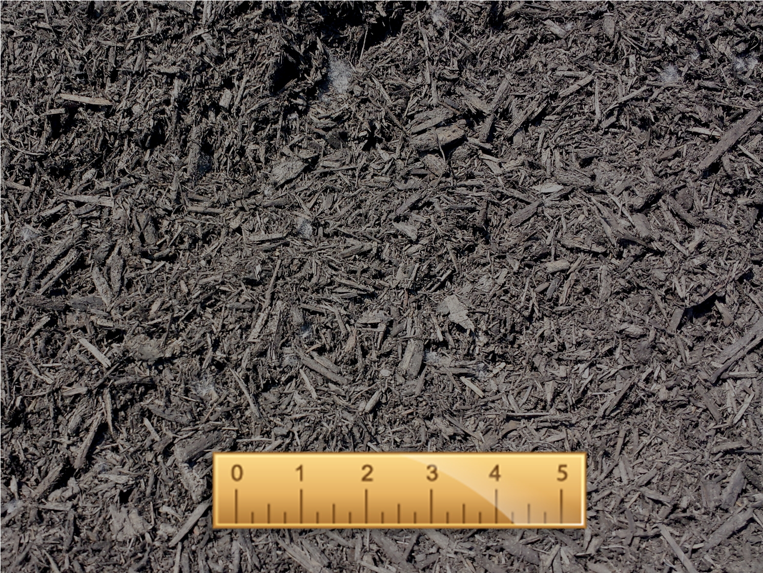 Red Mulch - Sand (1490x1365), Png Download