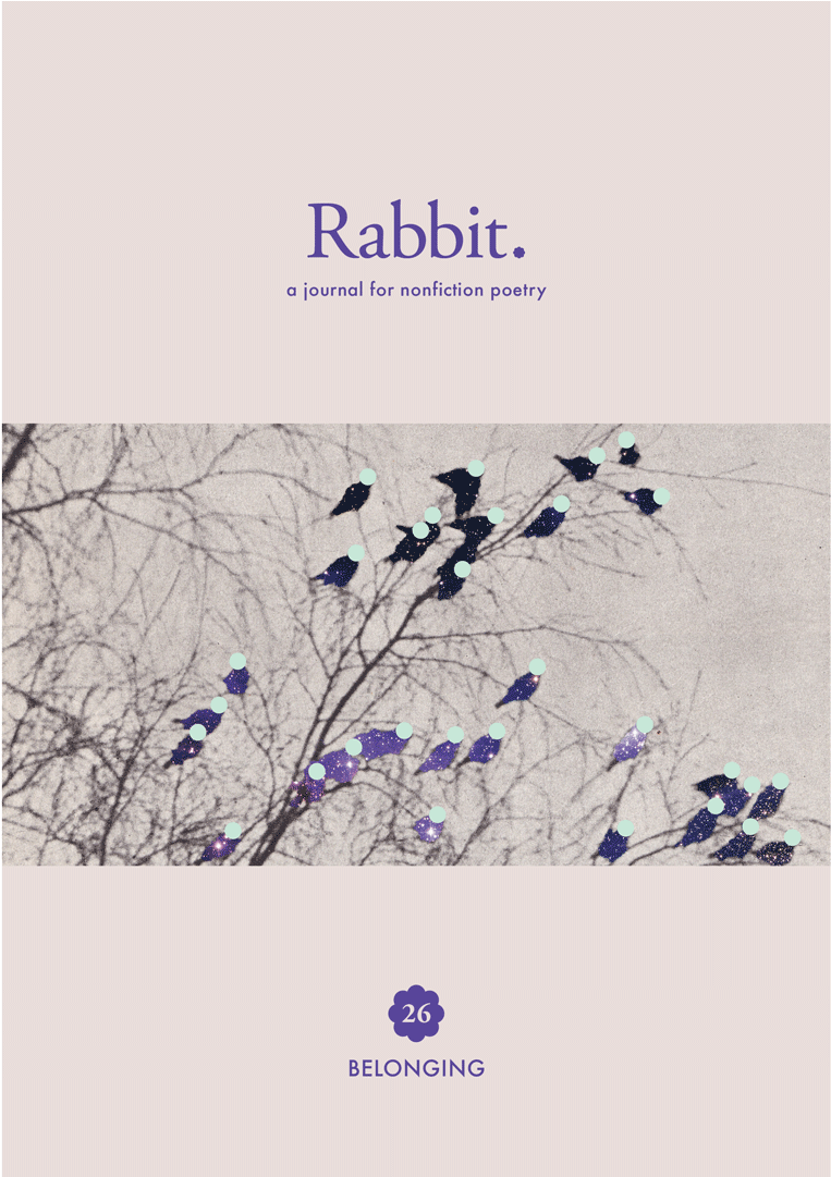 Rabbit - Japanese Camellia (1080x1080), Png Download