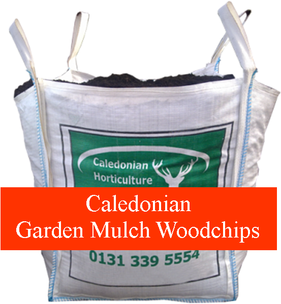 Bag (625x625), Png Download