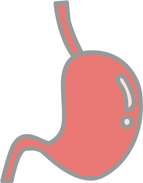 Stomach Free Icon Clip Art Illustration Material - Illustration (640x640), Png Download