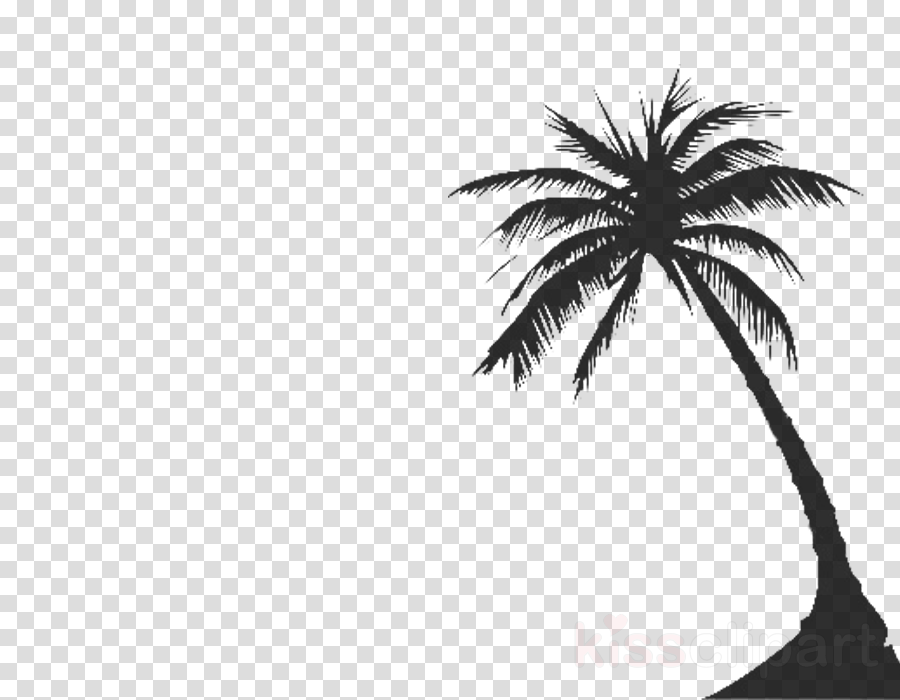 Transparent Palm Tree - Call Of Duty Black Ops 4 Characters Png (900x700), Png Download