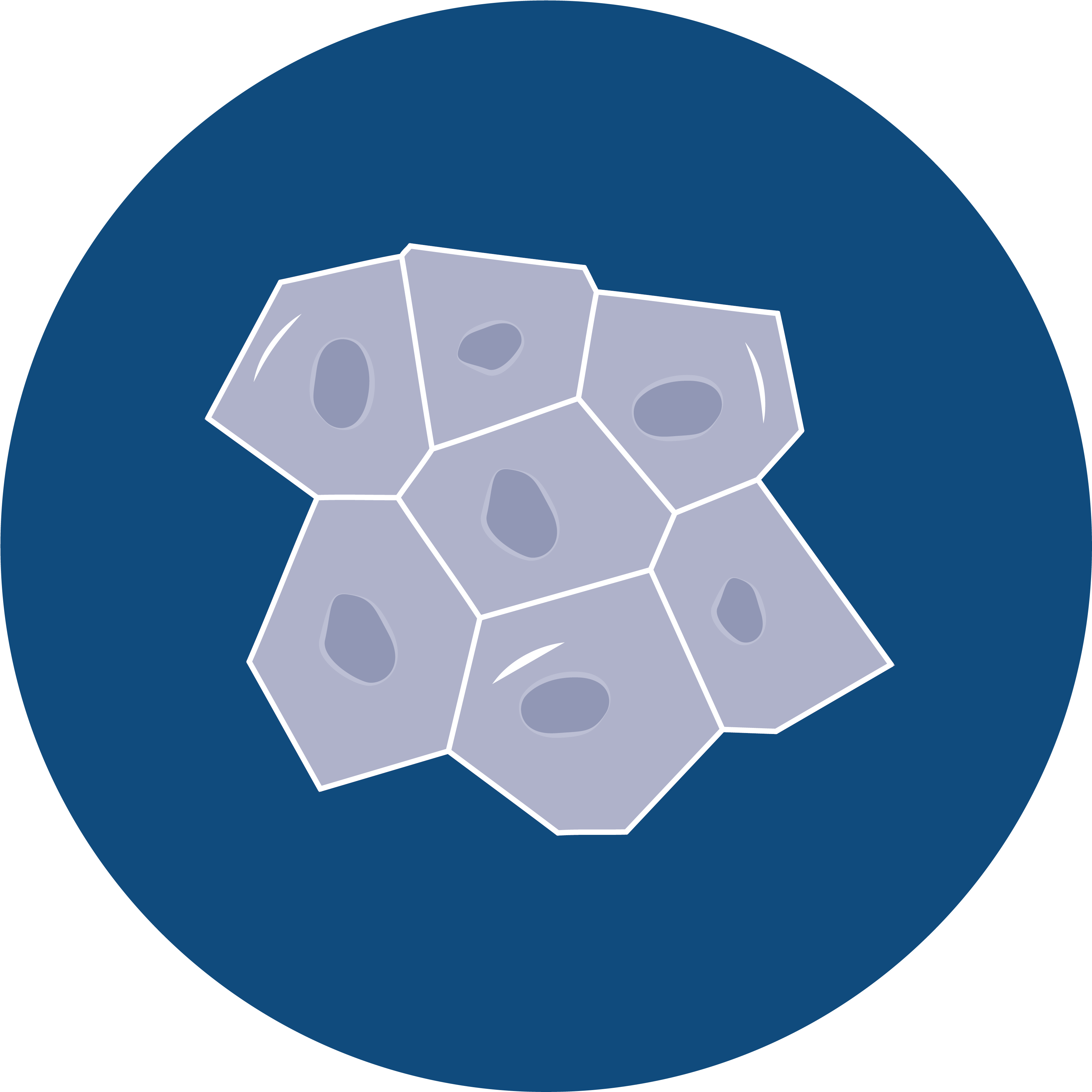 Succeed With Axol Your Human Cell Culture Specialists - New Capitol Records Logo (3543x3543), Png Download
