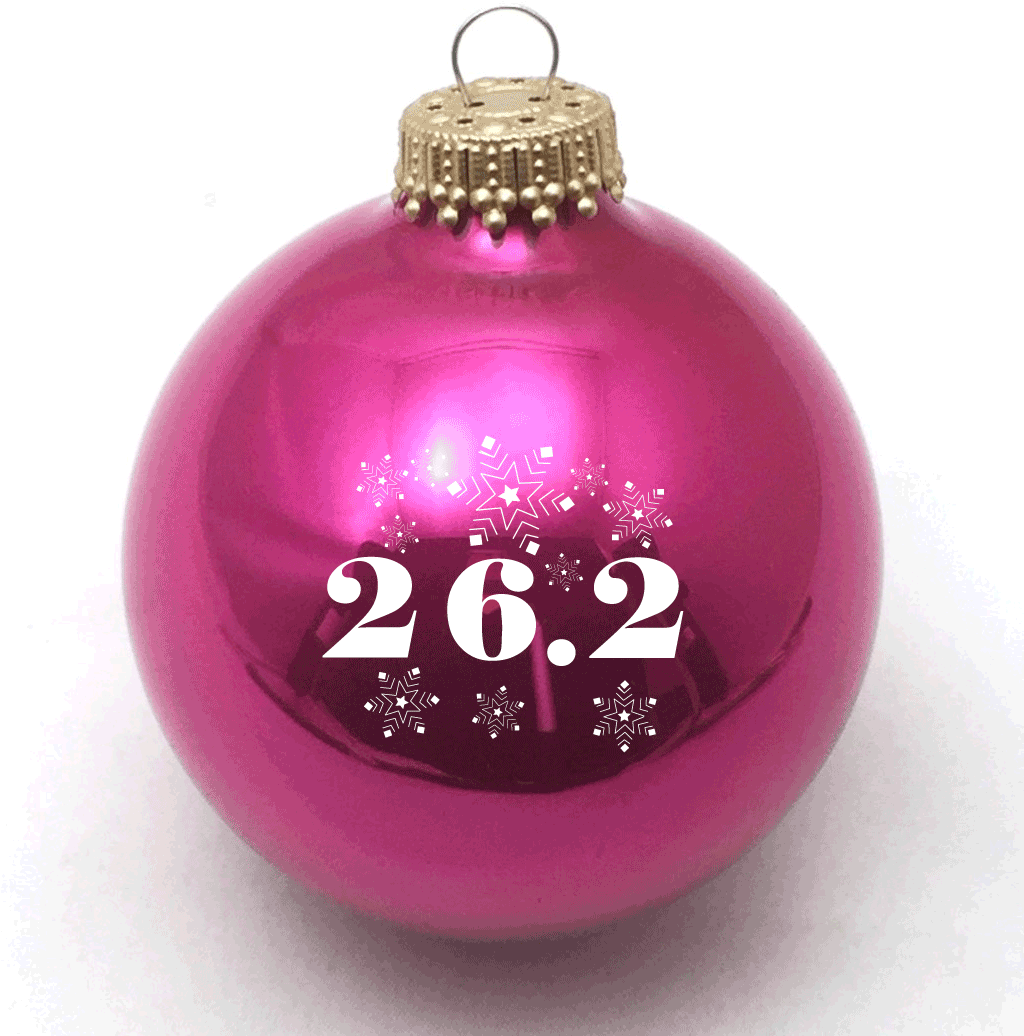 2 Snowflakes Christmas Ornament - Christmas Day (1023x1060), Png Download
