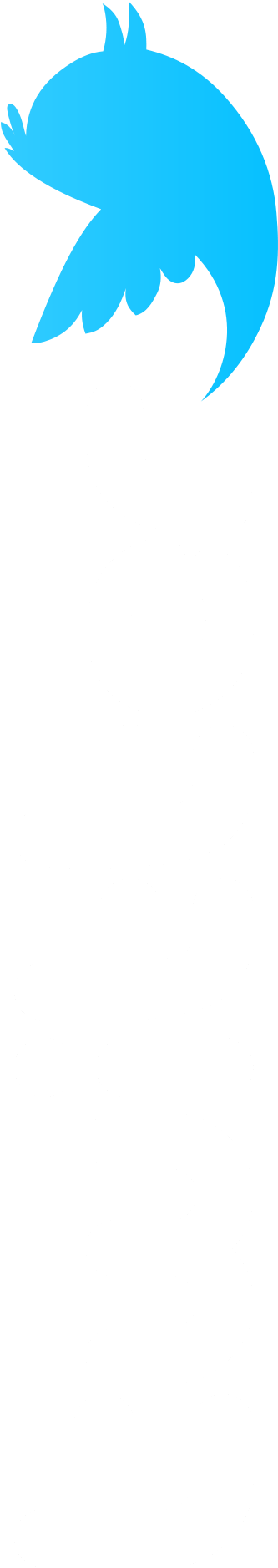 Twitter (458x2000), Png Download