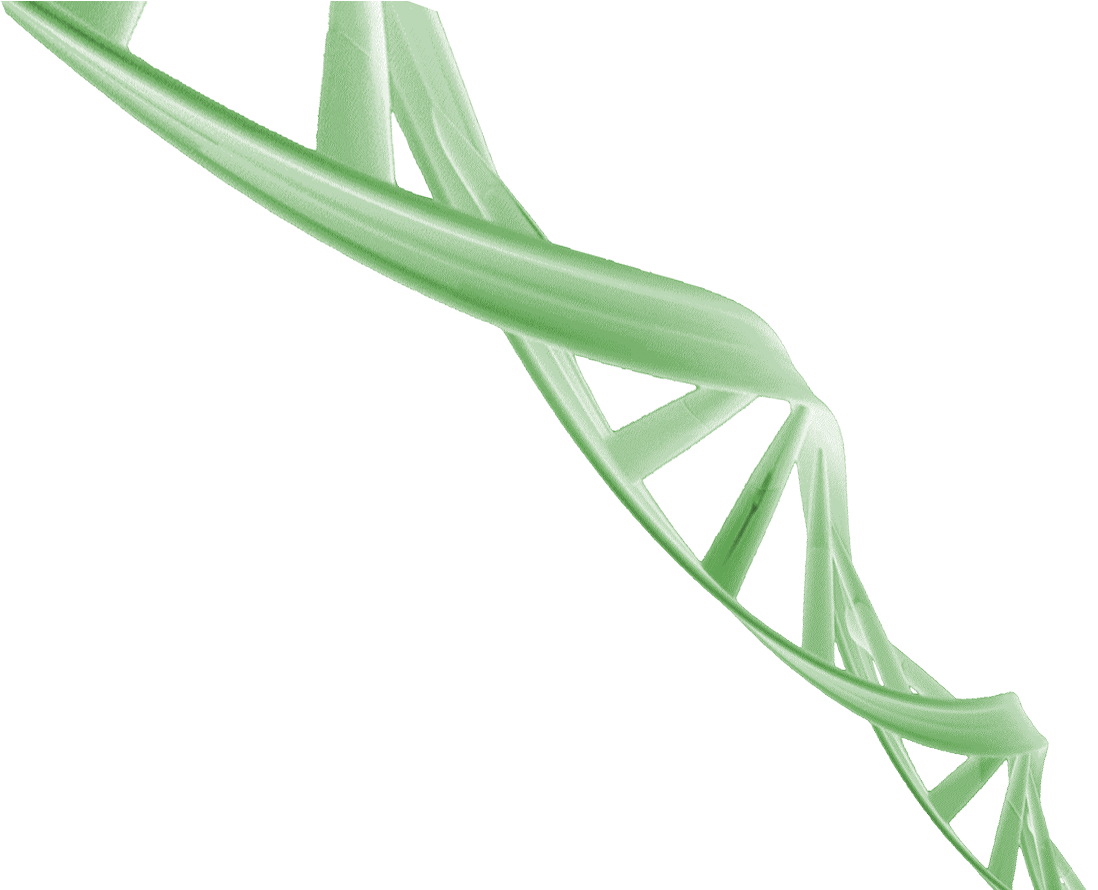 Bg - Balloon (1140x889), Png Download