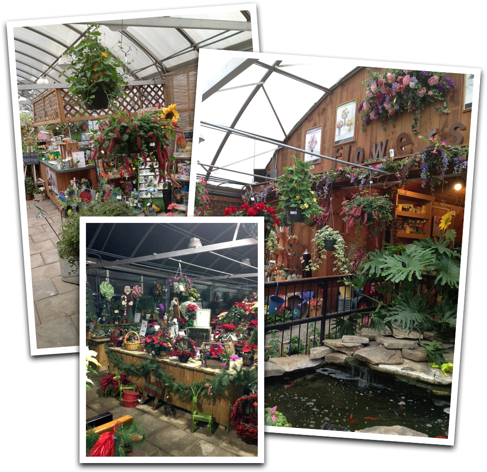Download Gift Items And Much More Greenhouse PNG Image With No download-gift-items-and-much-more-greenhouse-png-image-with-no