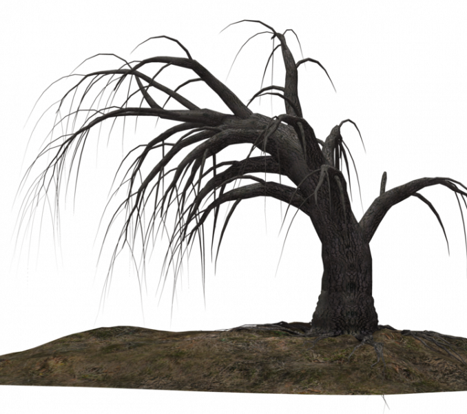 Dead Tree - Dead Trees Drawing Png (678x600), Png Download