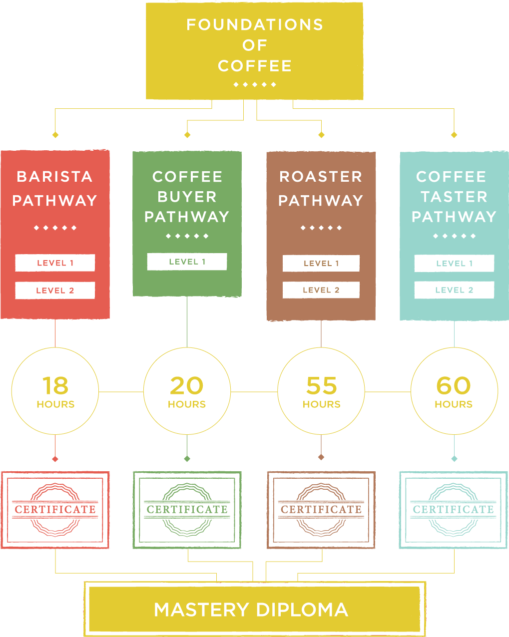 From Other Graduates - Scaa Specialty Coffee (1280x1304), Png Download