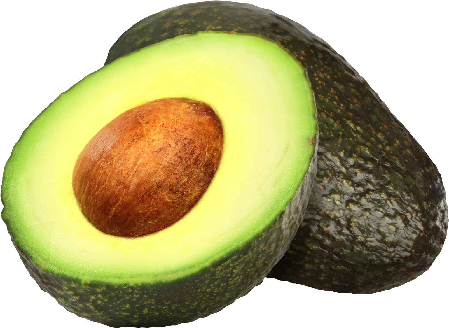 Avocado - Avocado Hipster (1600x1600), Png Download