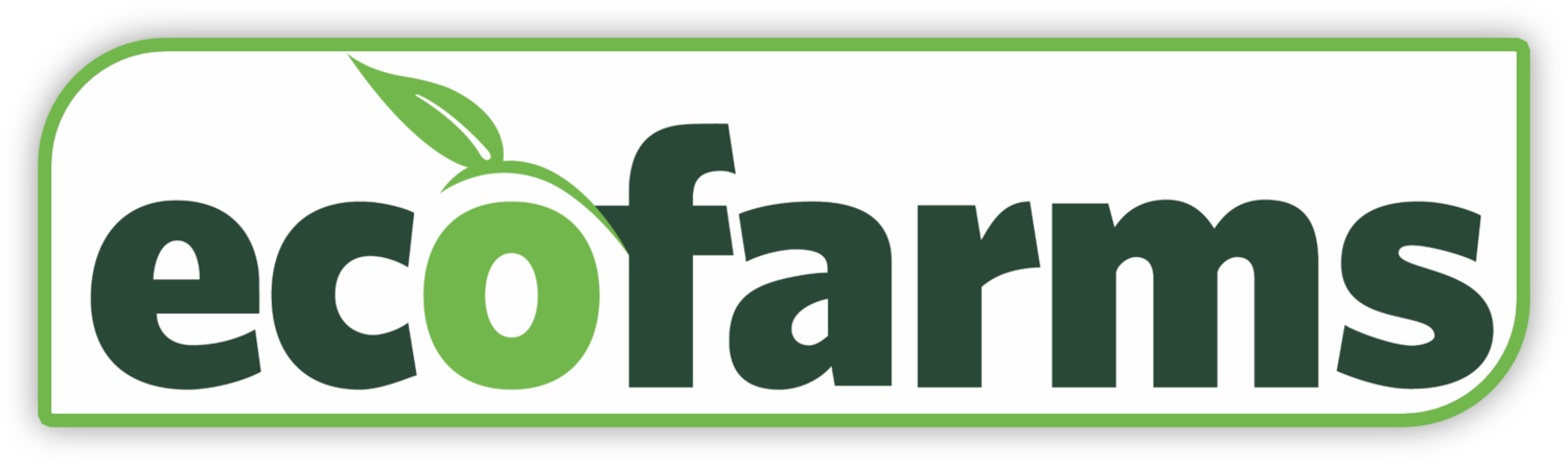 Eco Farms - Graphic Design (1500x445), Png Download