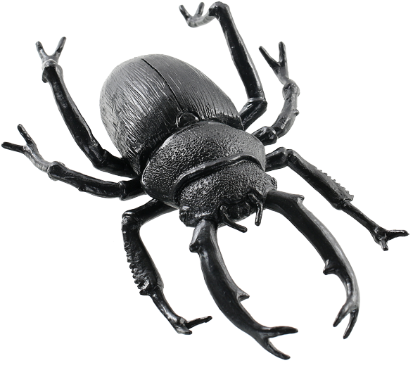 Black Beetle Transparent Images Png - Dung Beetle (650x568), Png Download