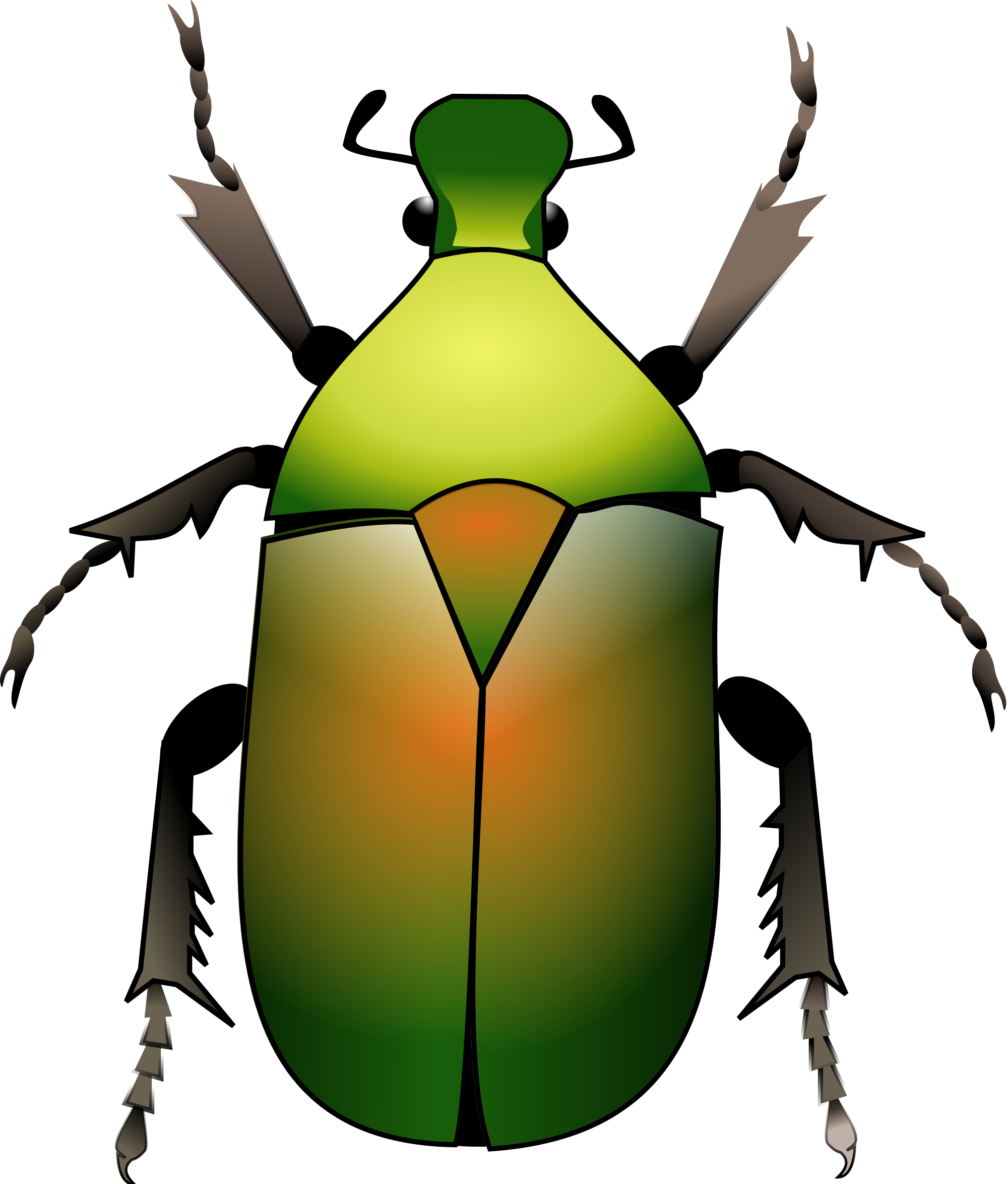 Open - Beetle Svg (2000x2349), Png Download