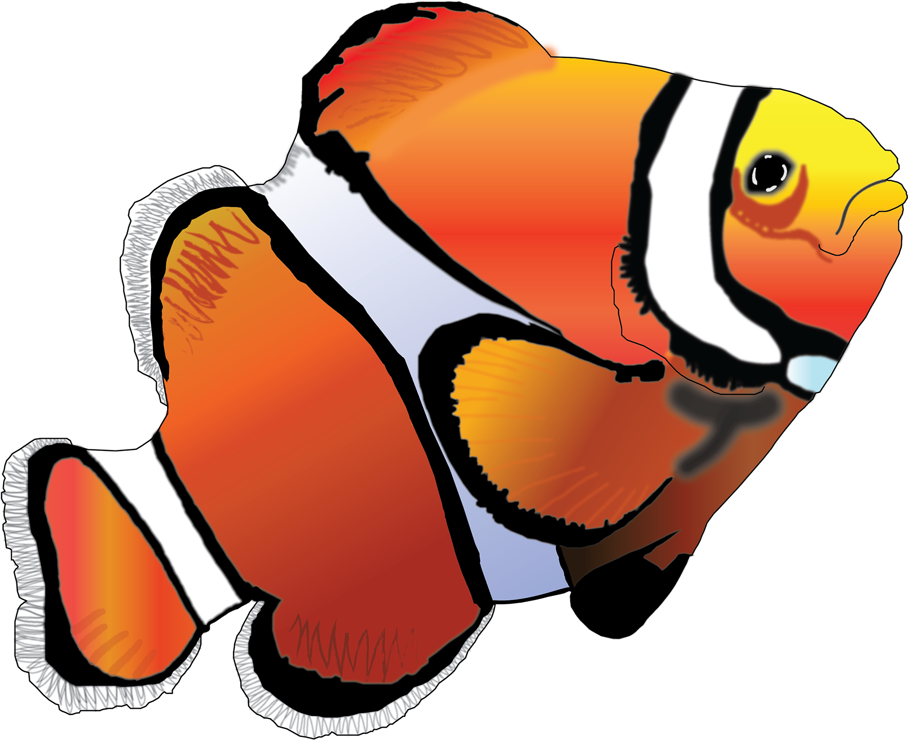 Clown Fish (1920x1615), Png Download