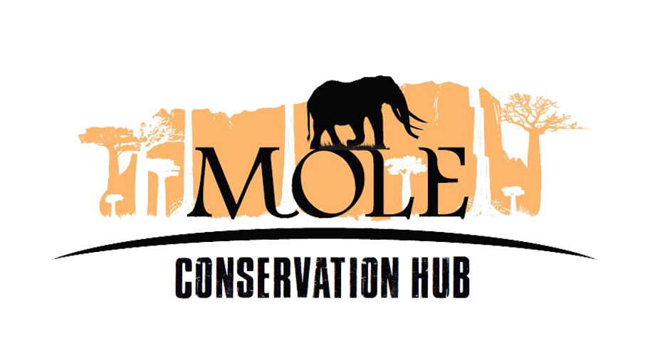 Label (989x546), Png Download