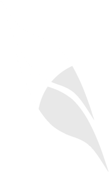 Animeleaf Discord Emoji - Flag (768x768), Png Download