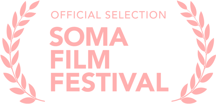 Soma Pink - General Assembly First Committee (1000x485), Png Download