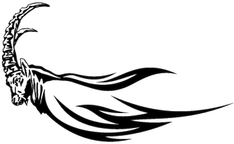 2831 Bouquetin Flammes - Tribal Animals (800x800), Png Download