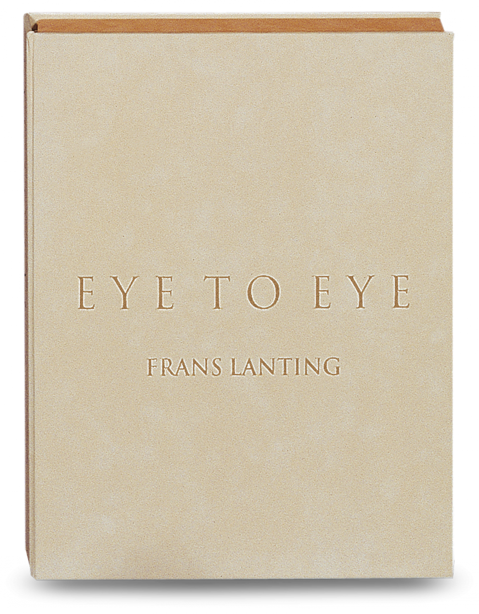 Eye To Eye - Book Cover (960x1230), Png Download