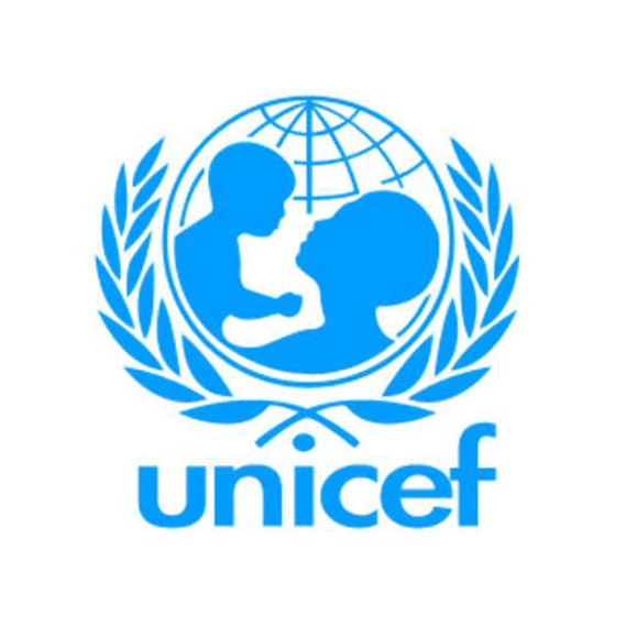 By Admin - Logos Of Un Organs (579x570), Png Download