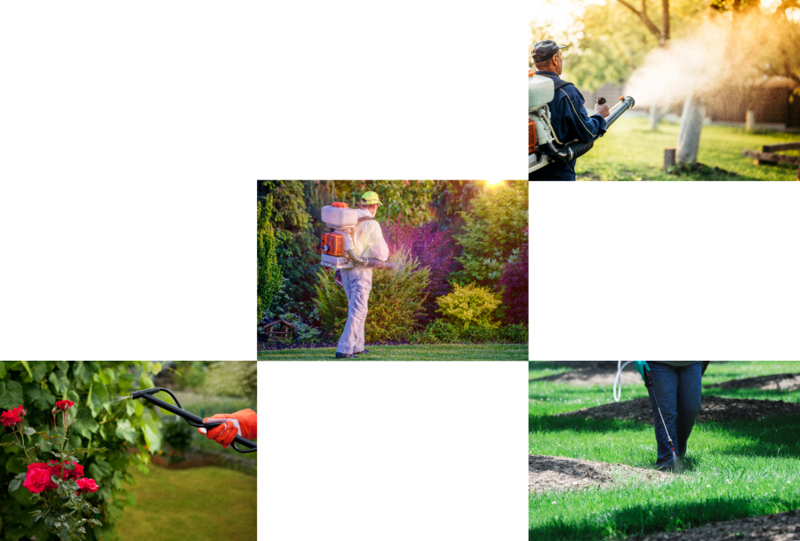 Pest Control Has Been Made Easy By Our Tailored, Honed, - Yard (900x609), Png Download
