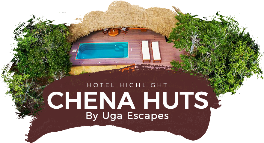 Hotel Highlight Chena Huts By Uga Escapes - Tree (939x542), Png Download