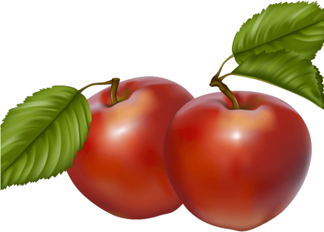 Apple Border Cliparts X Carwad Net - Fall Apples Clip Art (640x480), Png Download