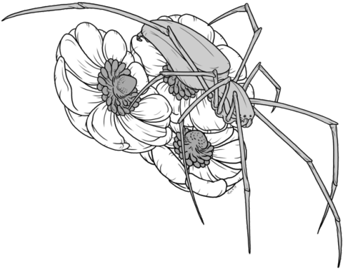 Back At It Again With The 'lackluster Feeling With - Line Art (500x402), Png Download