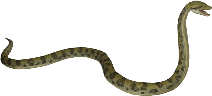 Free Png Anaconda S Png Images Transparent - Anaconda Snake Side View (850x479), Png Download