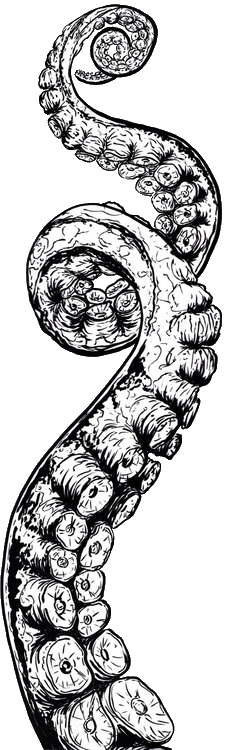 Flower Png Tumblr Iratick - Tentaculos De Pulpo Tatuajes (226x750), Png Download