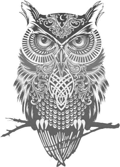 Panda Vaidosa - Owl Art Black And White (500x650), Png Download