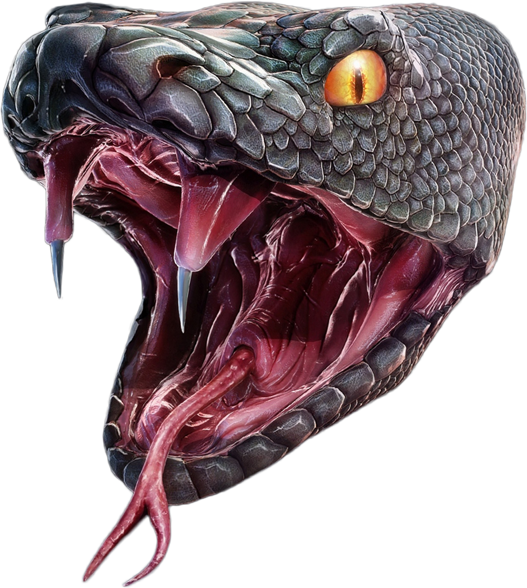 Snake Head Png - Snake Photoshop (1068x1190), Png Download