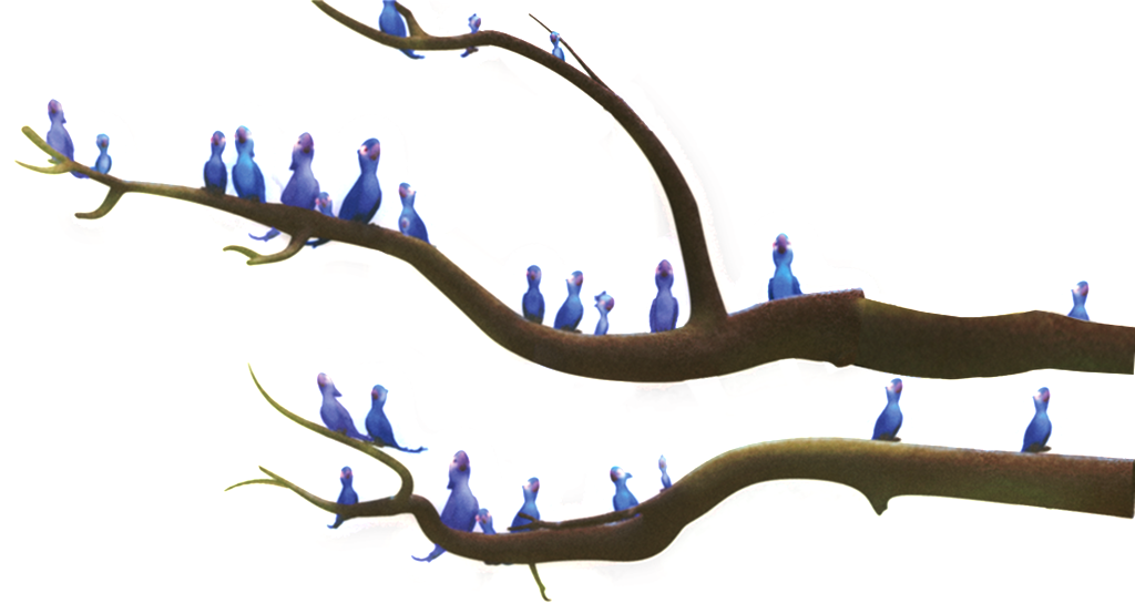 This graphics