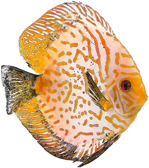 Free Tropical Fish Clip Art - Clip Art (640x614), Png Download