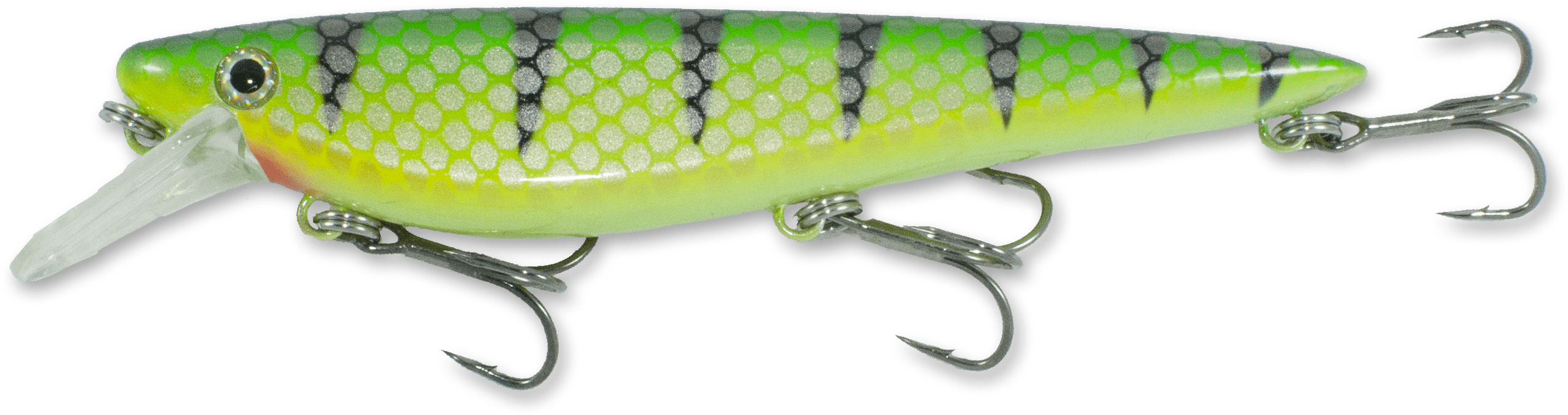 Perch (2713x799), Png Download