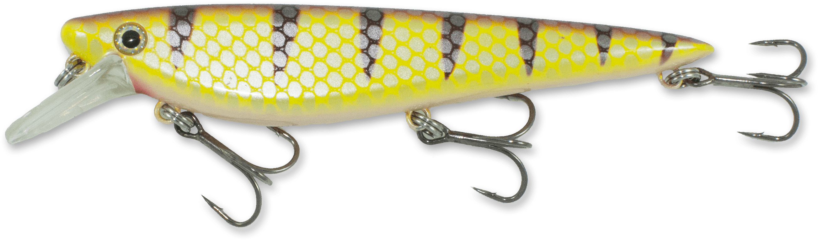 Walleye - Fishing (2720x878), Png Download