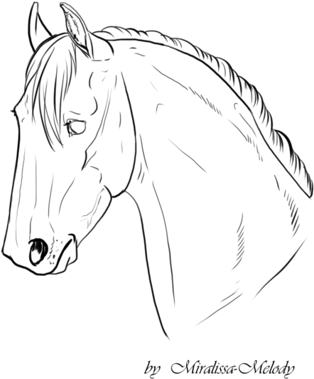 Horse Head Line Drawing At Getdrawings - Horse (600x719), Png Download