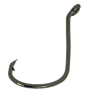 Click On Image To Zoom - Eel (560x330), Png Download