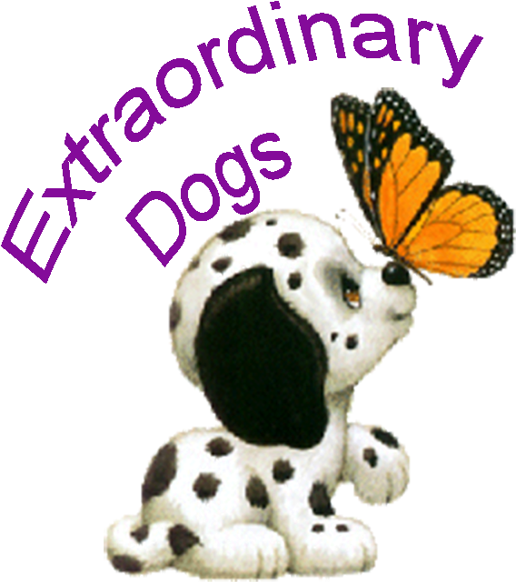 Our Lifelong Friends Clipart Stock - Dalmatian Puppy With Butterfly Stationery Printer Paper (600x654), Png Download