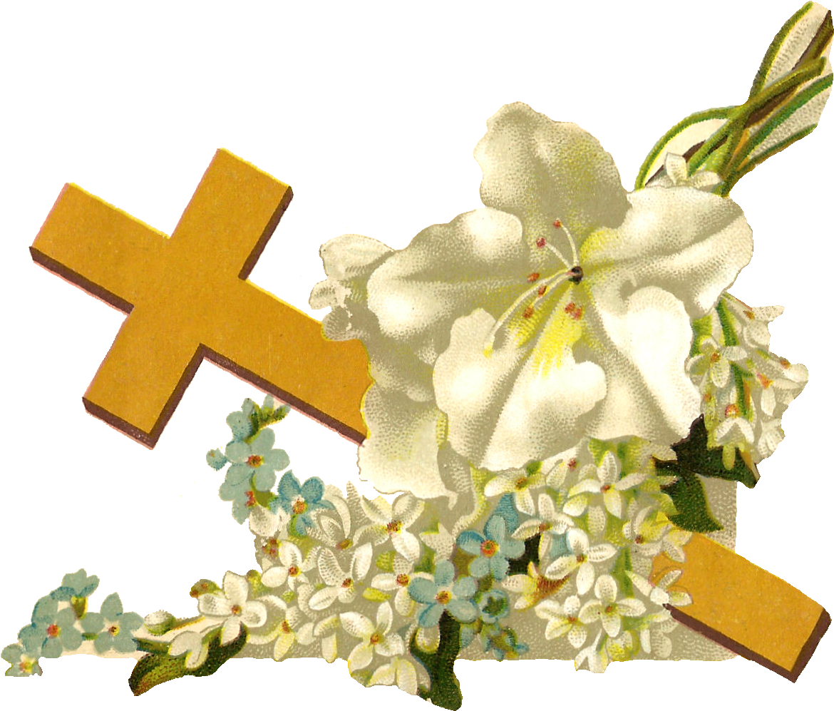 Banner Black And White Antique Images Free Religious - Bible With Cross And Flower (1496x1119), Png Download