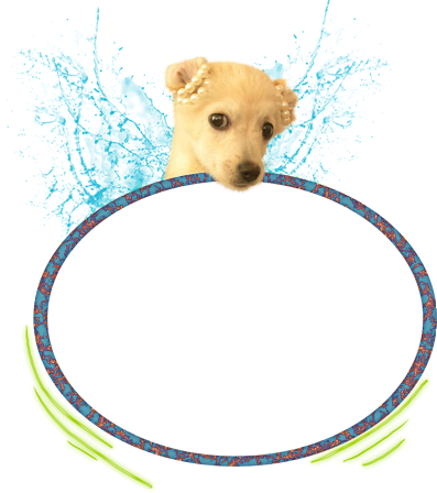 Cute Puppy - Dog Catches Something (397x448), Png Download
