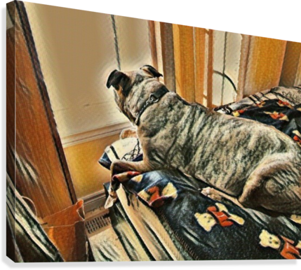 56 Cute Adorable Puppy Dog Domestic Purebred Breed - Boxer (429x386), Png Download