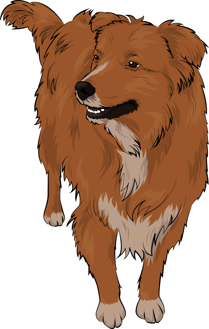 Draw A Cute Pet Cartoon Portrait From Your Photo - German Spitz (680x1069), Png Download