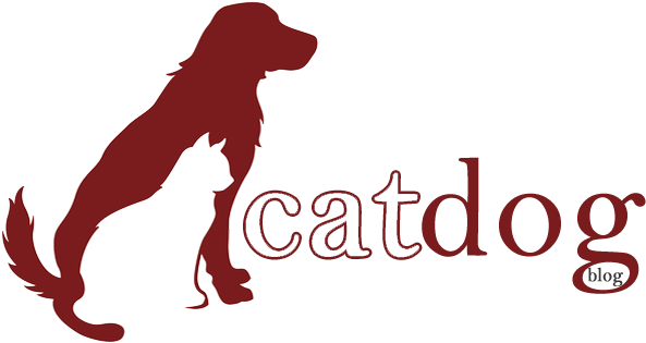 Cat & Dog Blog - Cat (626x335), Png Download